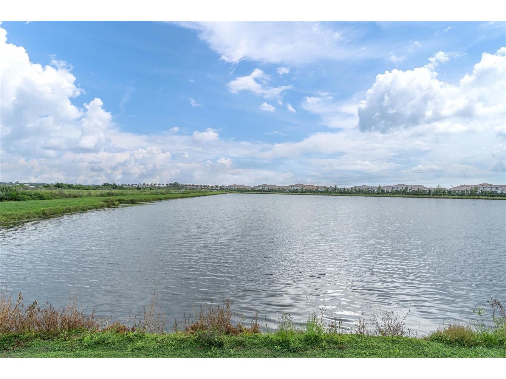 17070 Oval Rum Drive Wimauma FL 33598 TB8502661 image31