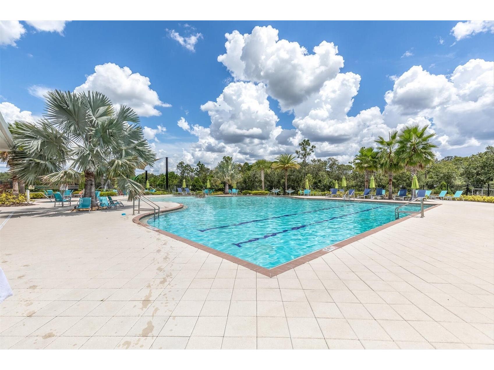 17070 Oval Rum Drive Wimauma FL 33598 TB8502661 image40