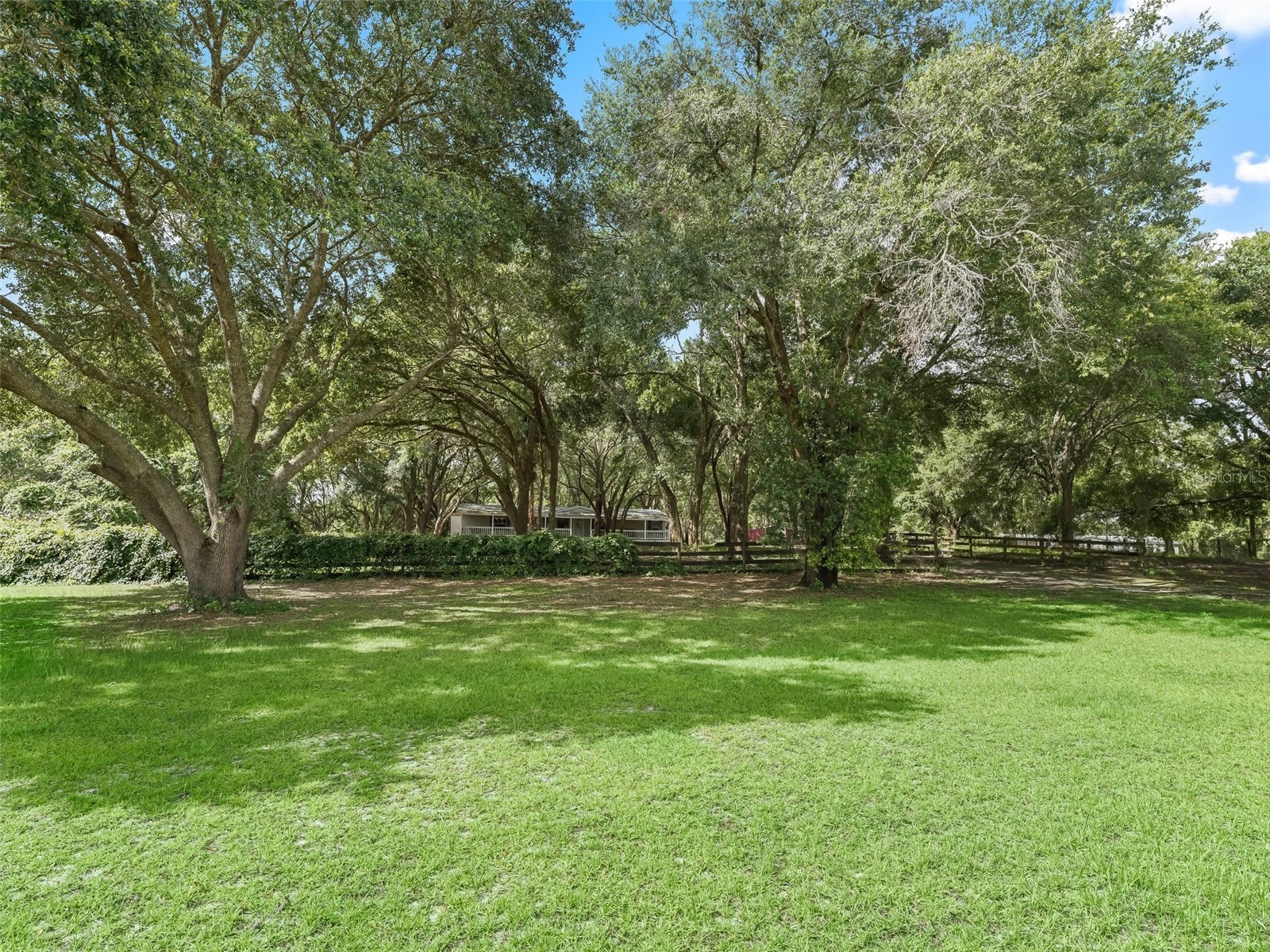 17070 SE 173rd Terrace Road Weirsdale FL 32195 G5106538 image35