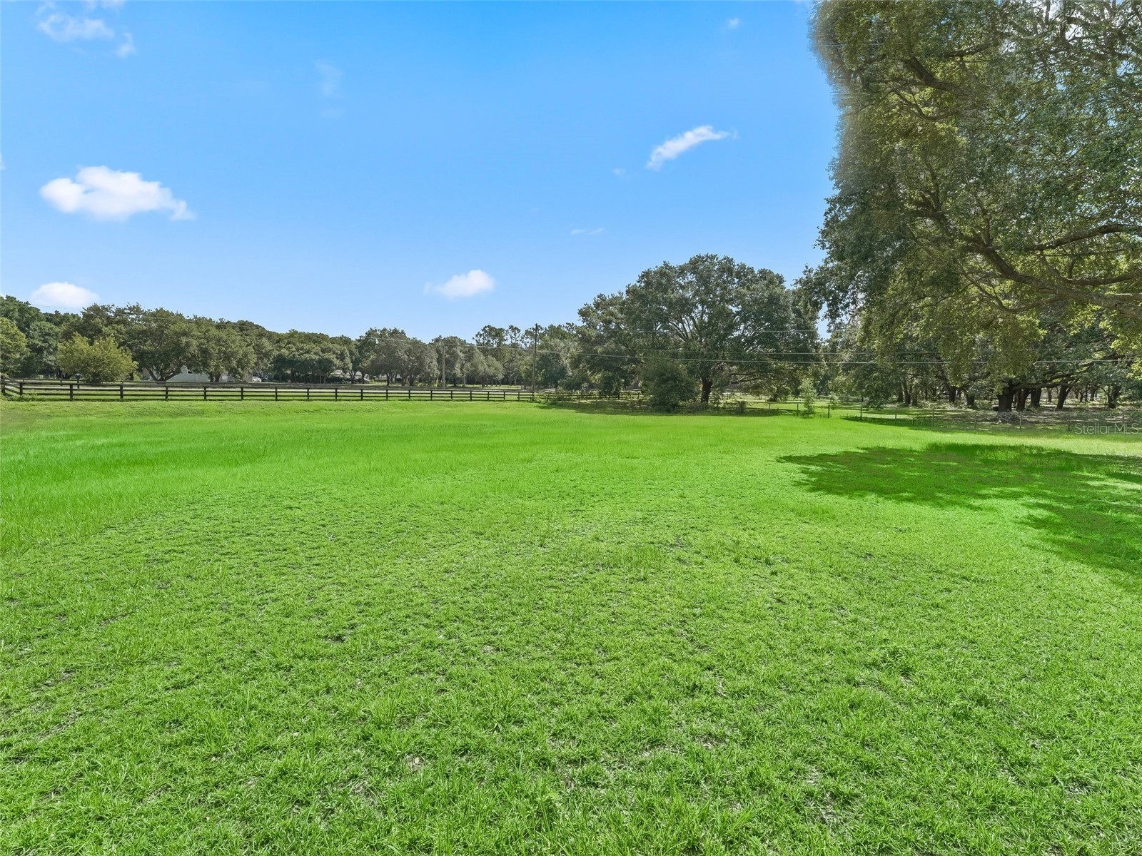 17070 SE 173rd Terrace Road Weirsdale FL 32195 G5106538 image36