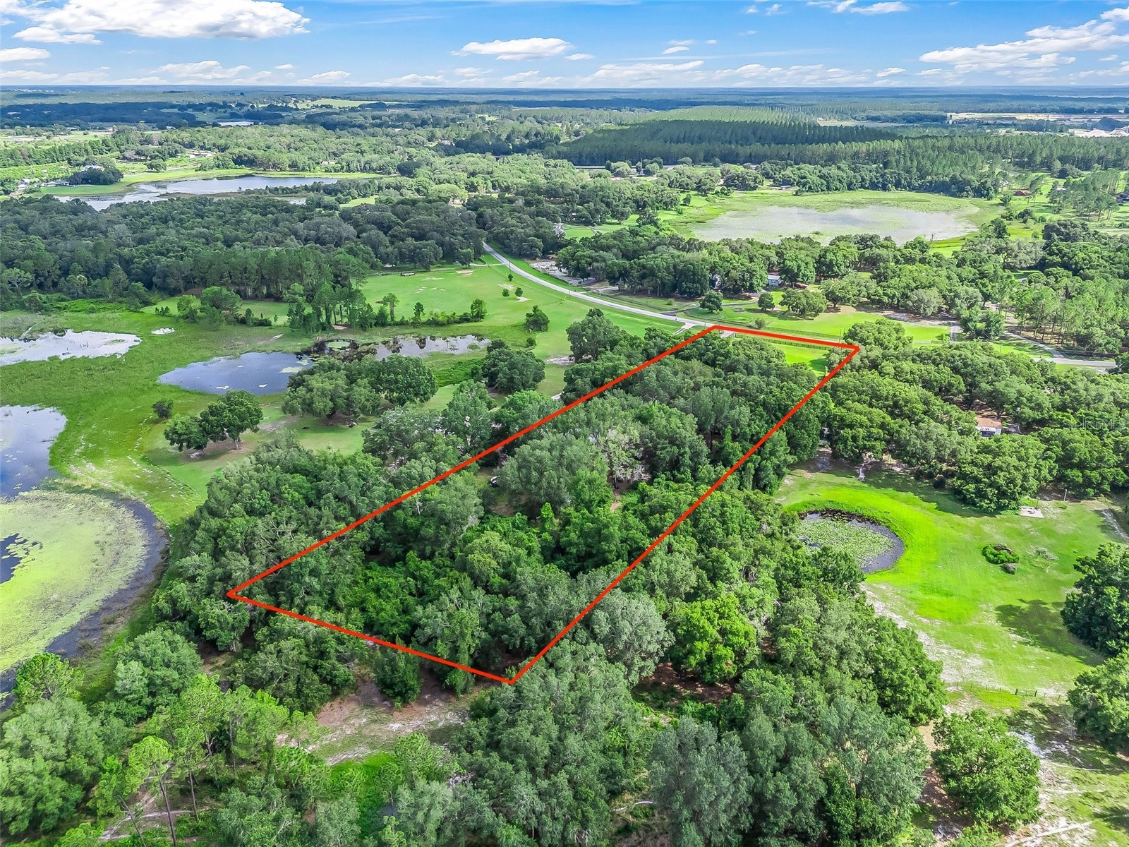 17070 SE 173rd Terrace Road Weirsdale FL 32195 G5106538 image39