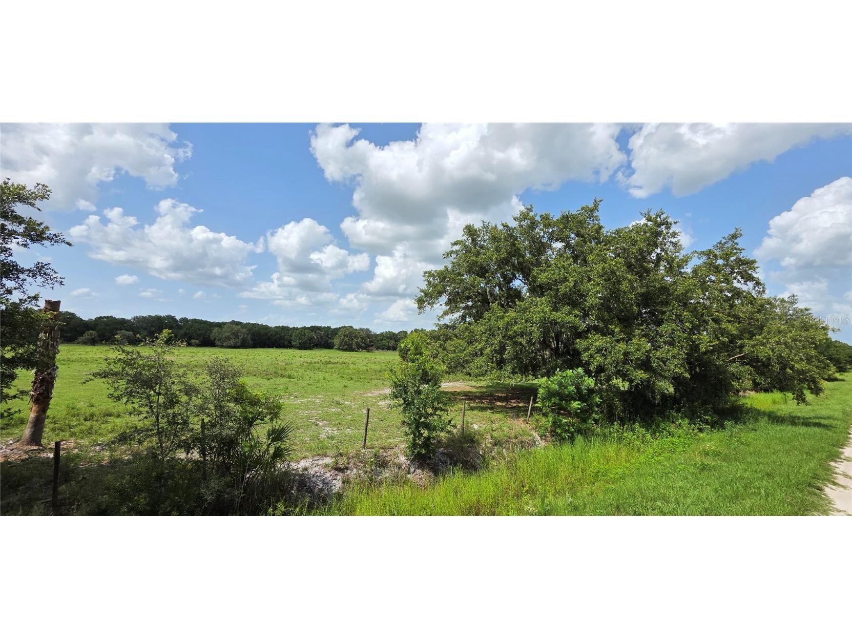 17071 NW 280th Street Okeechobee FL 34972 OK225285 image1