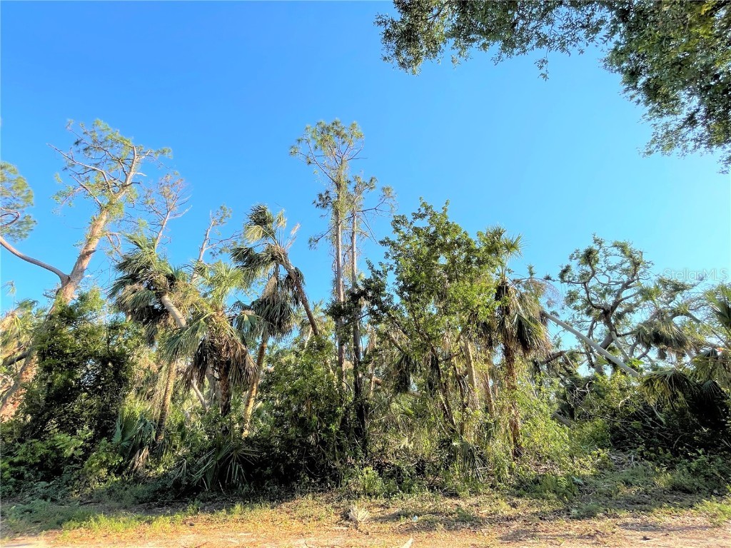 17073 Kellog Avenue Port Charlotte FL 33954 C7473404 image1