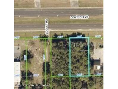 17076 Cortez (2 Lots) Boulevard Brooksville FL 34601 W7859981 image1
