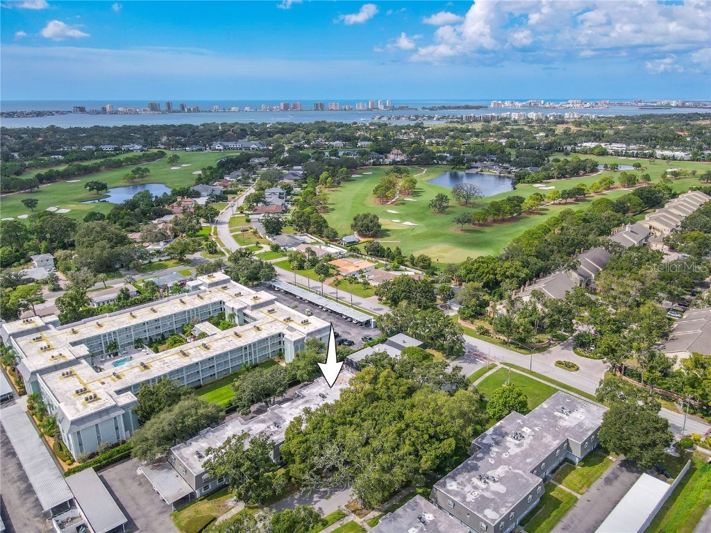 1708 Belleair Forest Drive #D Belleair FL 33756 TB8434814 image31