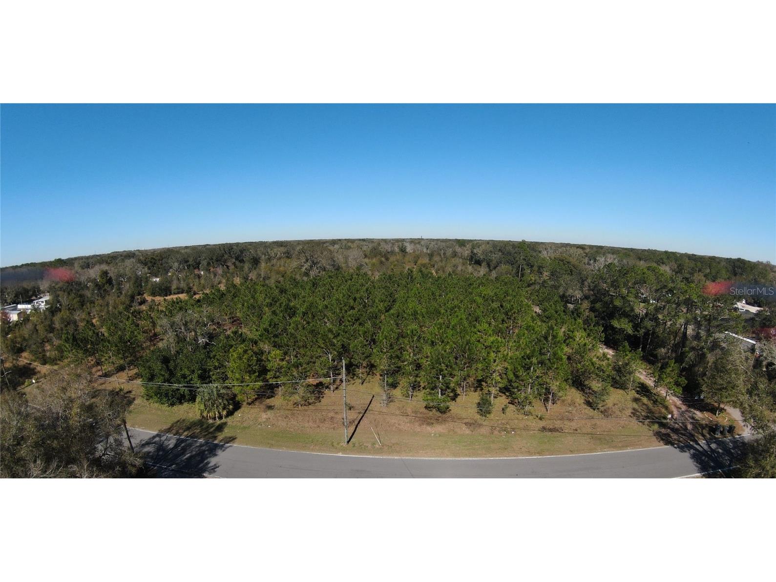 1708 Clement Road Lutz FL 33549 T3421606 image1