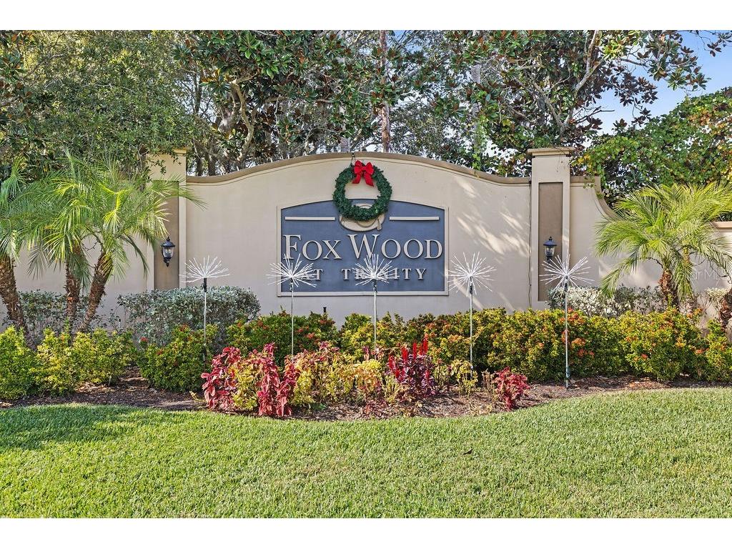 1708 Crossvine Court Trinity FL 34655 TB8501103 image34