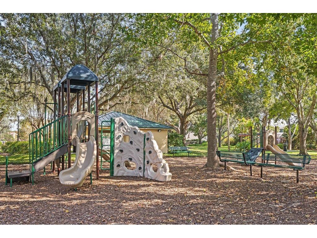 1708 Crossvine Court Trinity FL 34655 TB8501103 image36