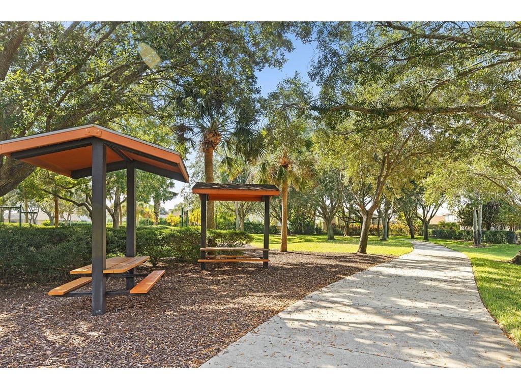 1708 Crossvine Court Trinity FL 34655 TB8501103 image37