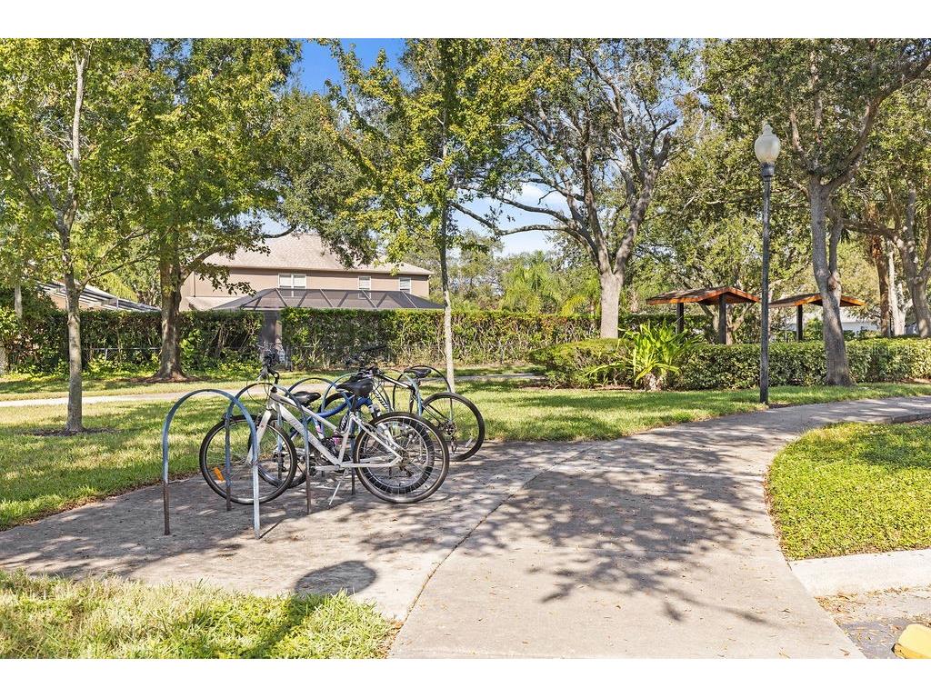 1708 Crossvine Court Trinity FL 34655 TB8501103 image42