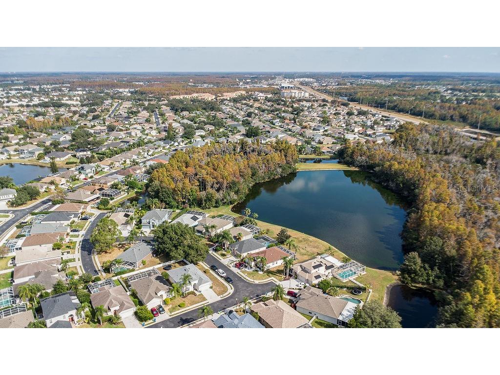 1708 Crossvine Court Trinity FL 34655 TB8501103 image47