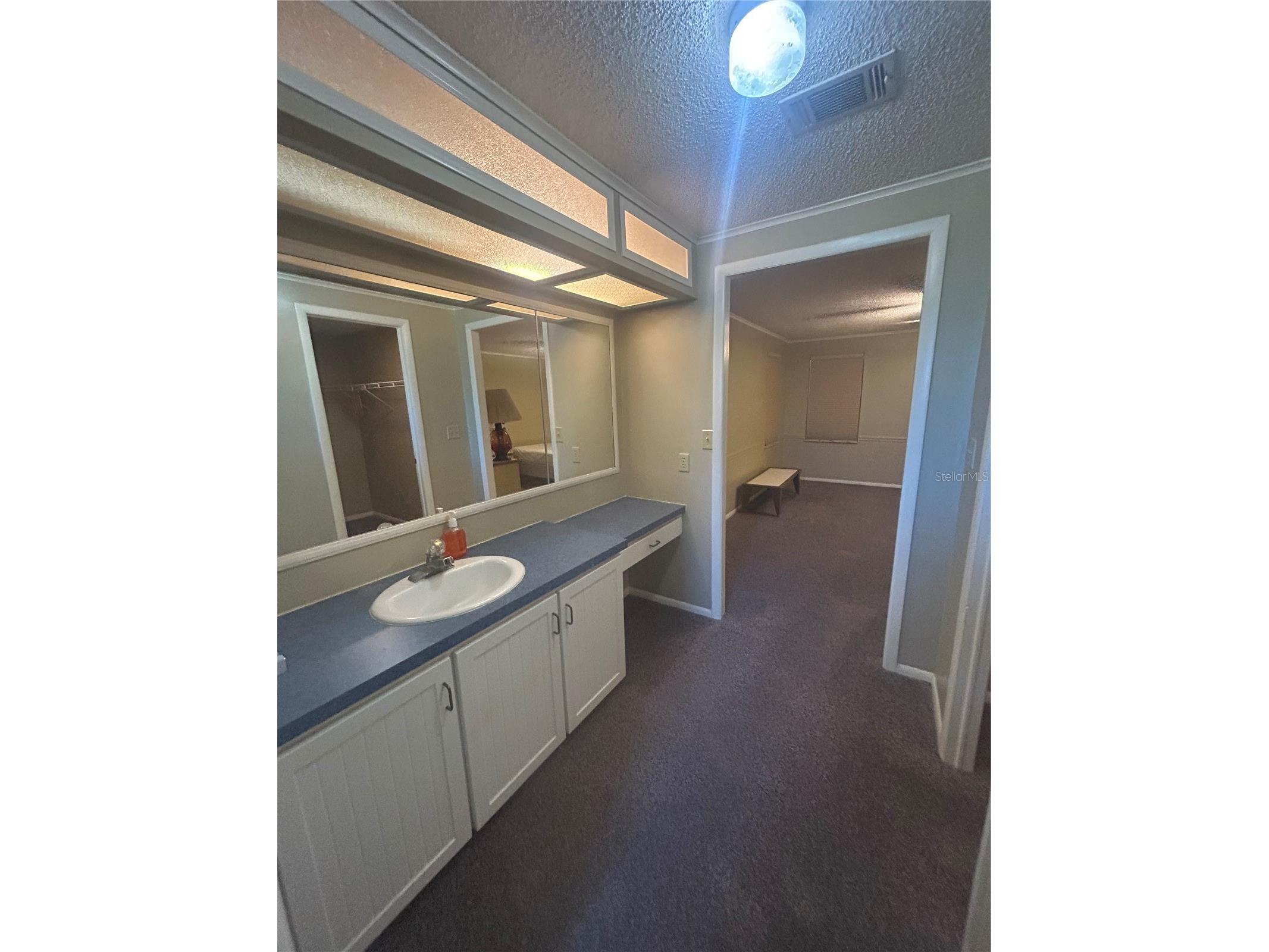 1708 Lilly Lane The Villages FL 32159 G5114150 image29