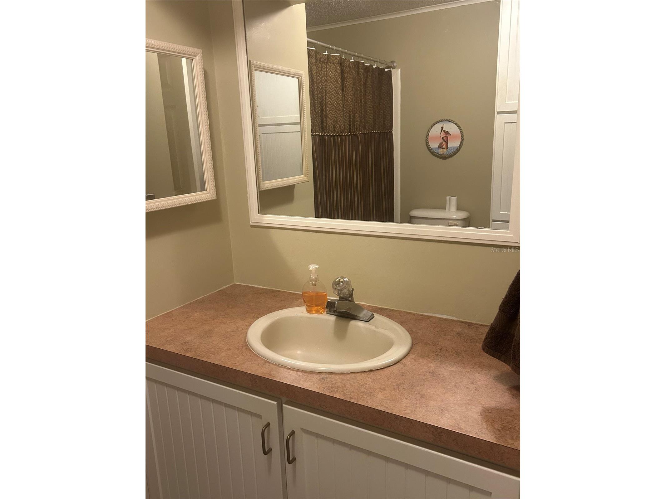 1708 Lilly Lane The Villages FL 32159 G5114150 image41