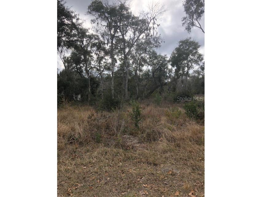 1708 N Retreat Drive Inverness FL 34453 L4950457 image1