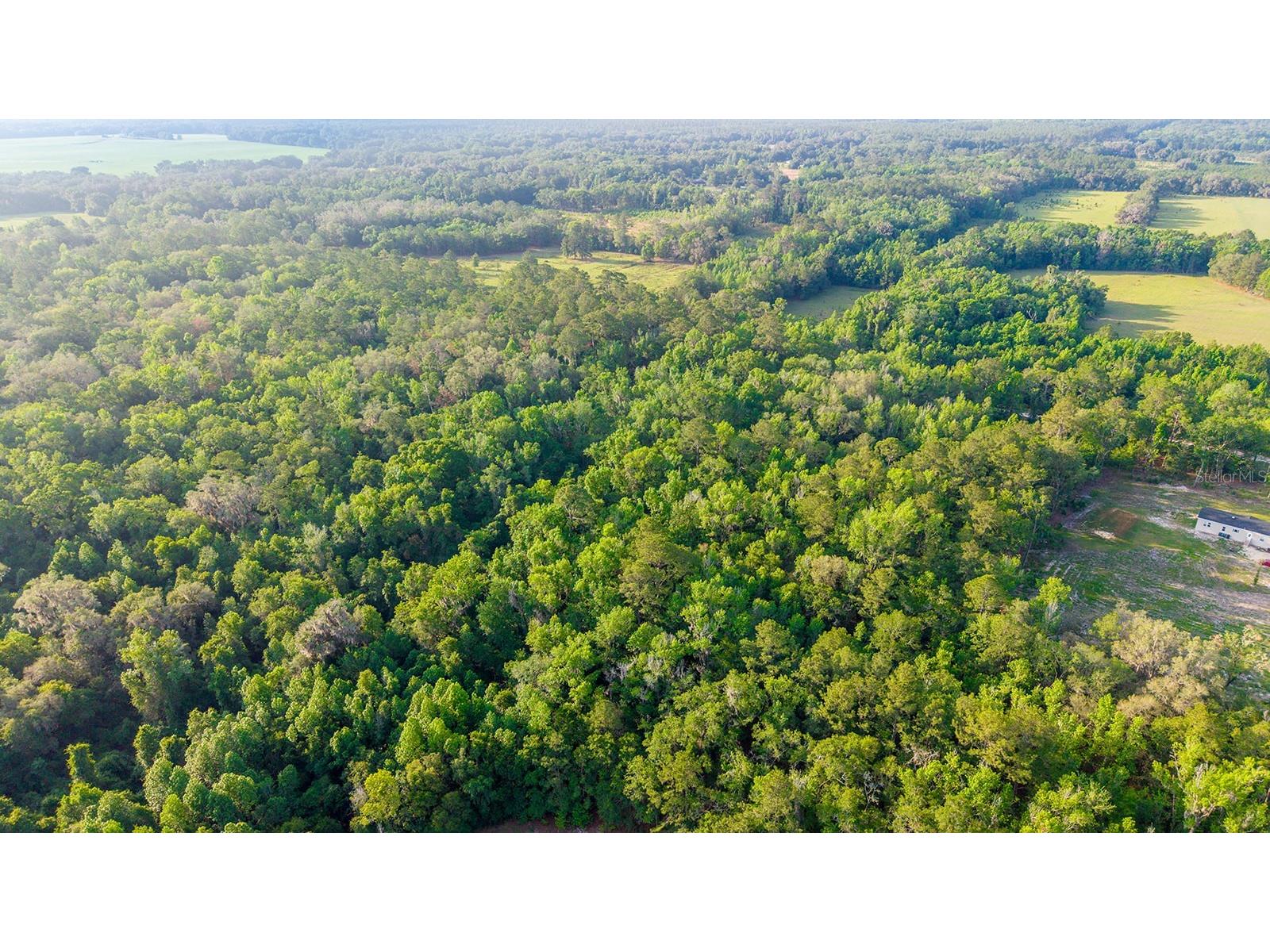 1708 NW 230th Place Brooker FL 32622 GC540609 image12