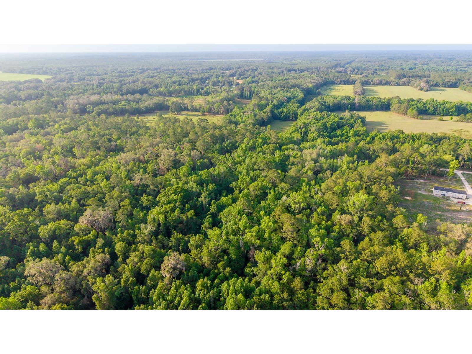 1708 NW 230th Place Brooker FL 32622 GC540609 image14
