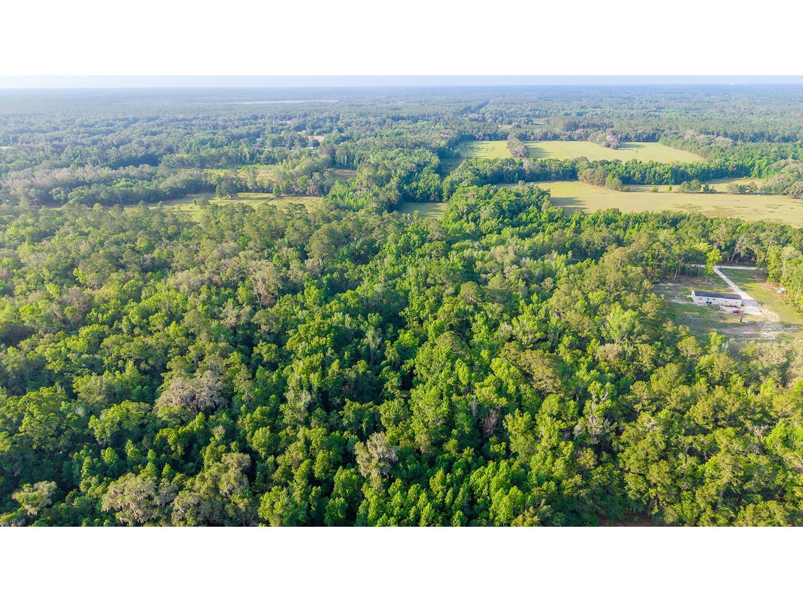 1708 NW 230th Place Brooker FL 32622 GC540609 image16