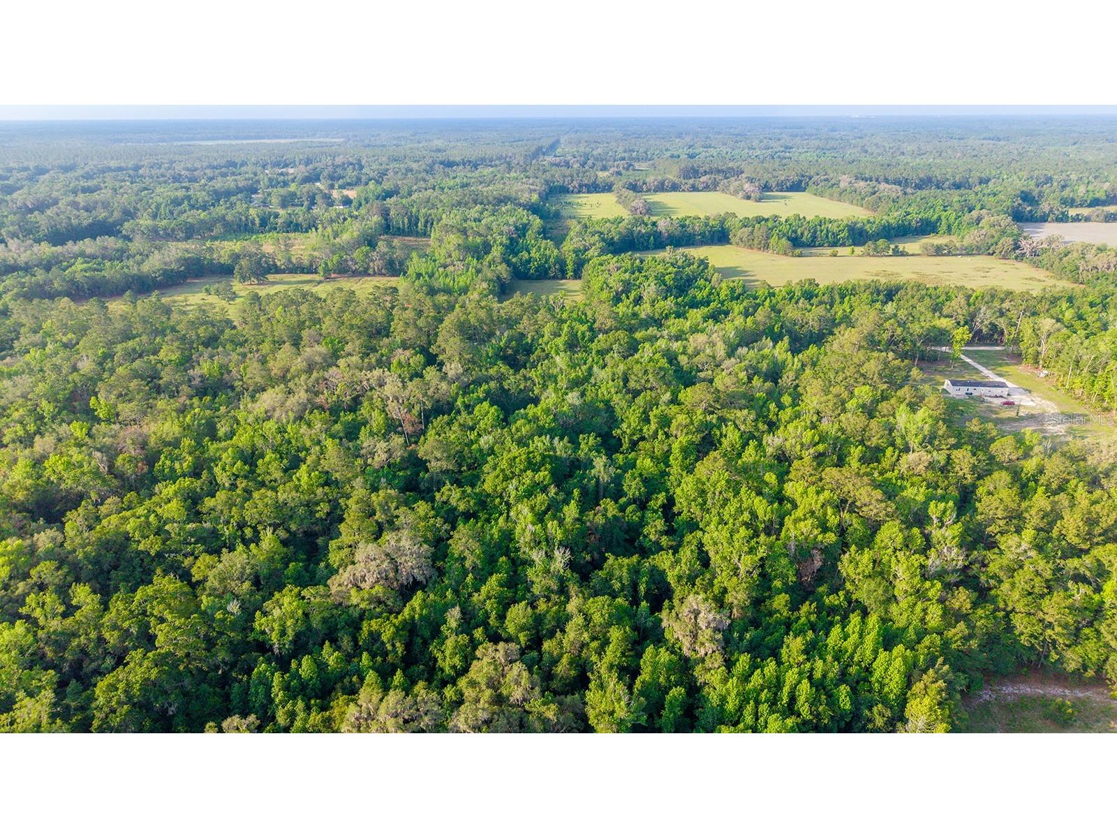 1708 NW 230th Place Brooker FL 32622 GC540609 image17