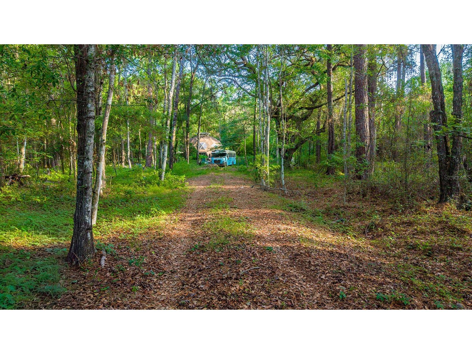 1708 NW 230th Place Brooker FL 32622 GC540609 image2