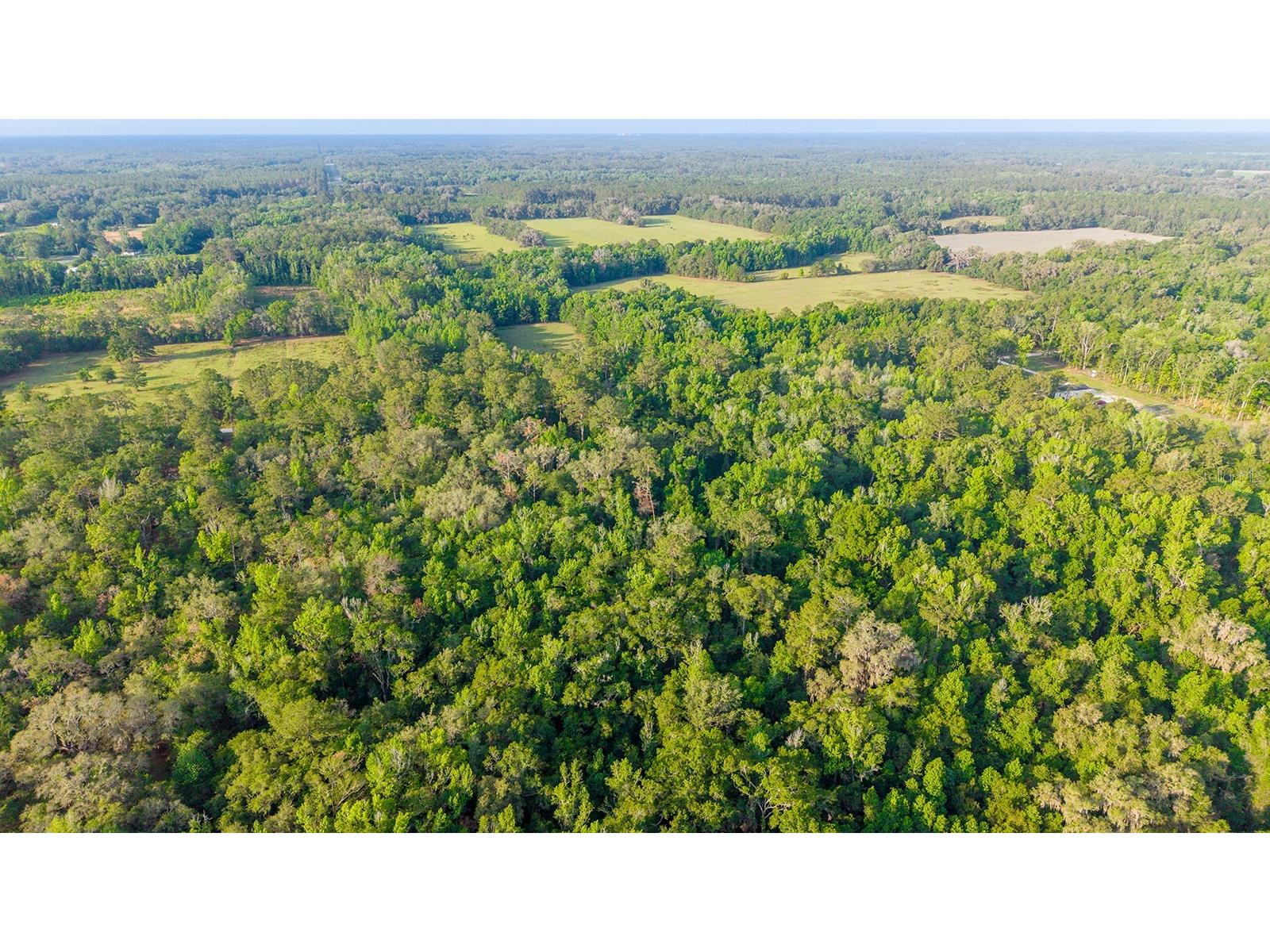 1708 NW 230th Place Brooker FL 32622 GC540609 image20