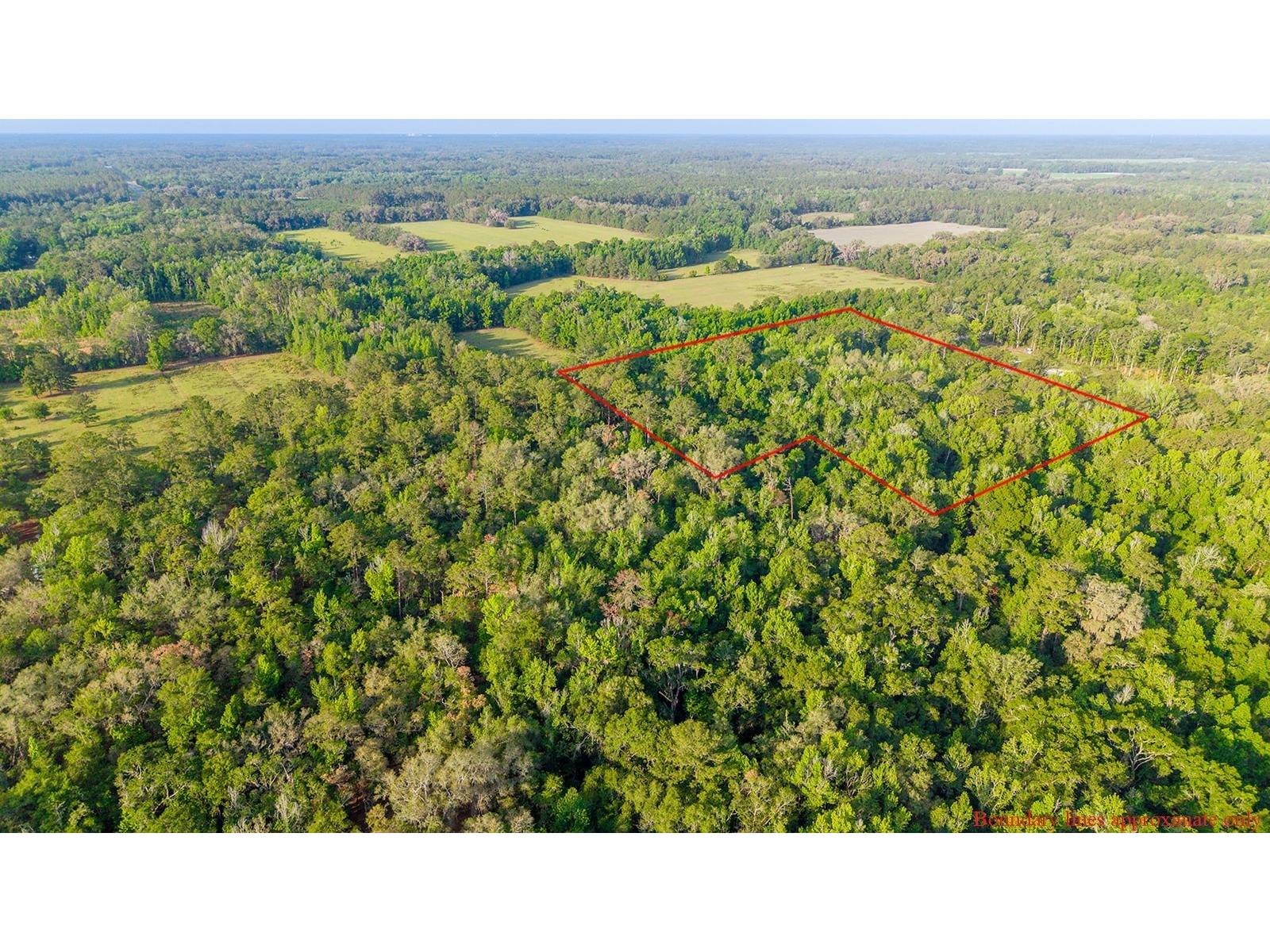 1708 NW 230th Place Brooker FL 32622 GC540609 image21