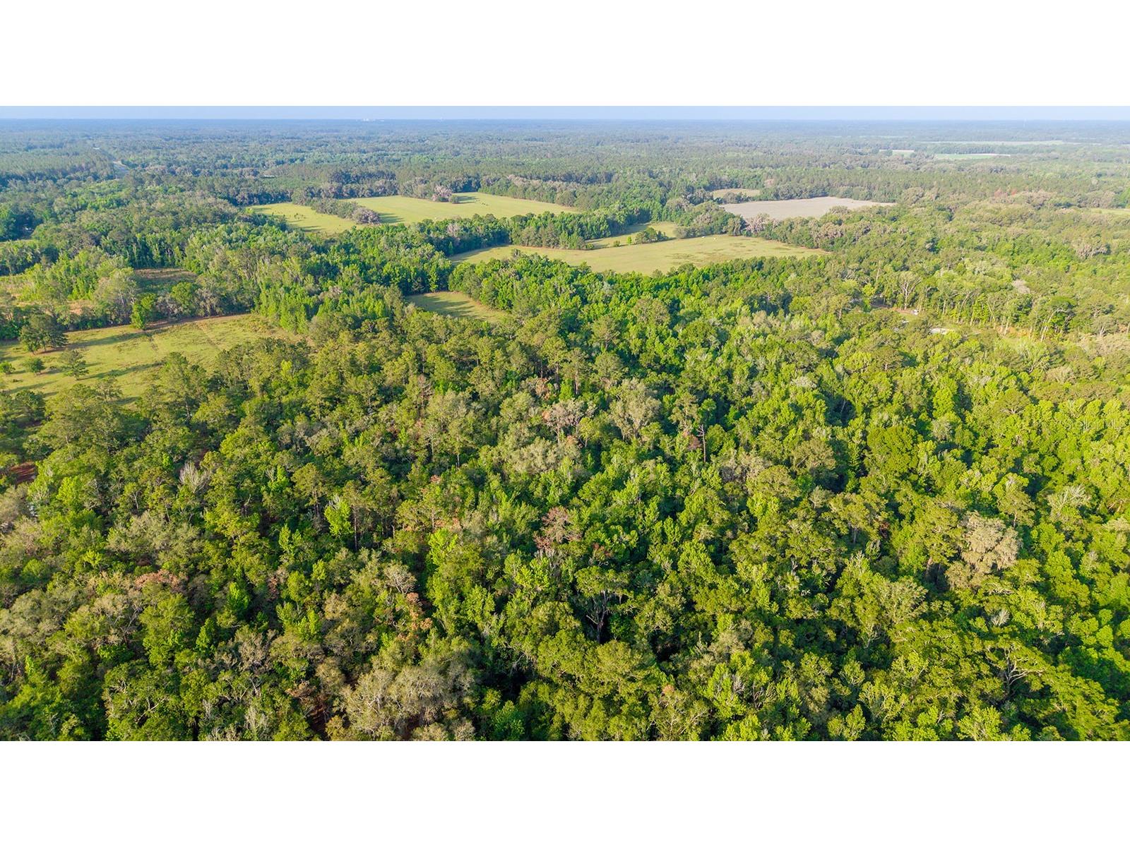 1708 NW 230th Place Brooker FL 32622 GC540609 image22