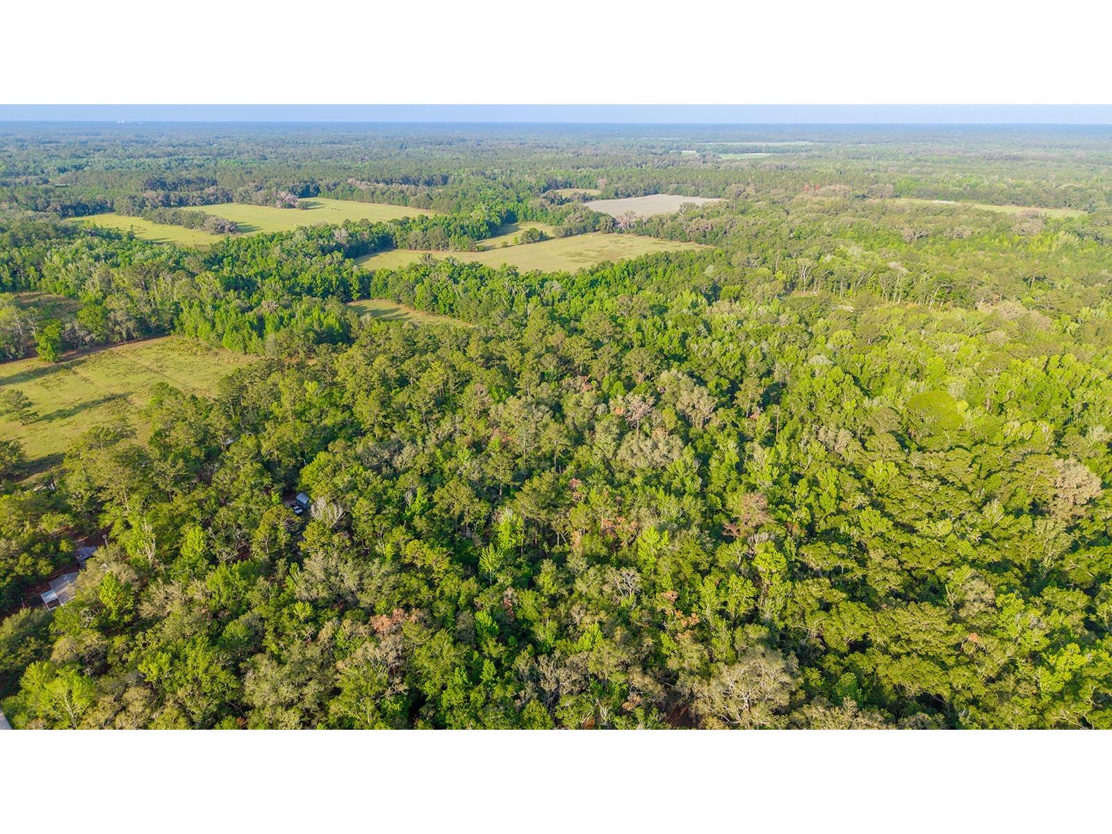 1708 NW 230th Place Brooker FL 32622 GC540609 image24
