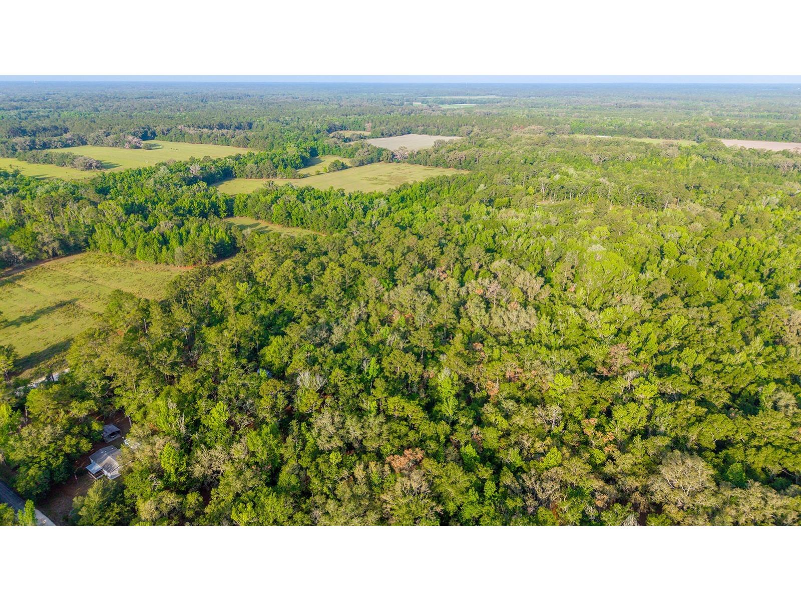 1708 NW 230th Place Brooker FL 32622 GC540609 image25
