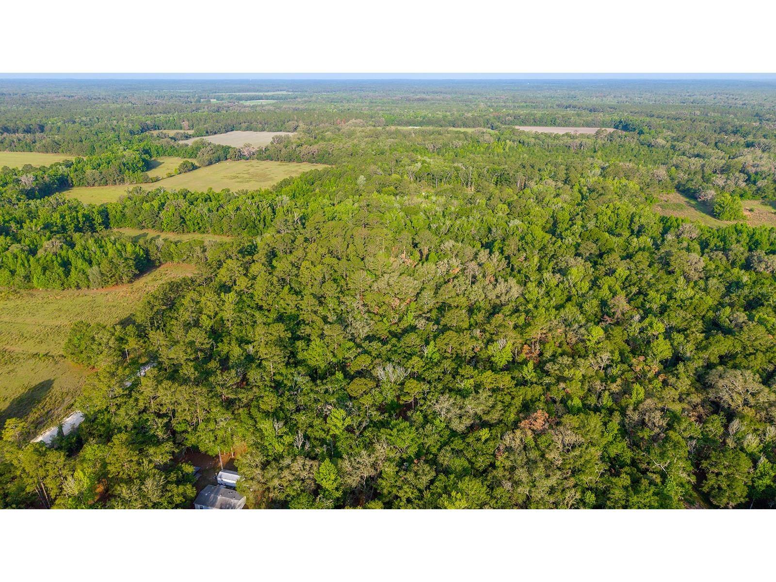 1708 NW 230th Place Brooker FL 32622 GC540609 image28