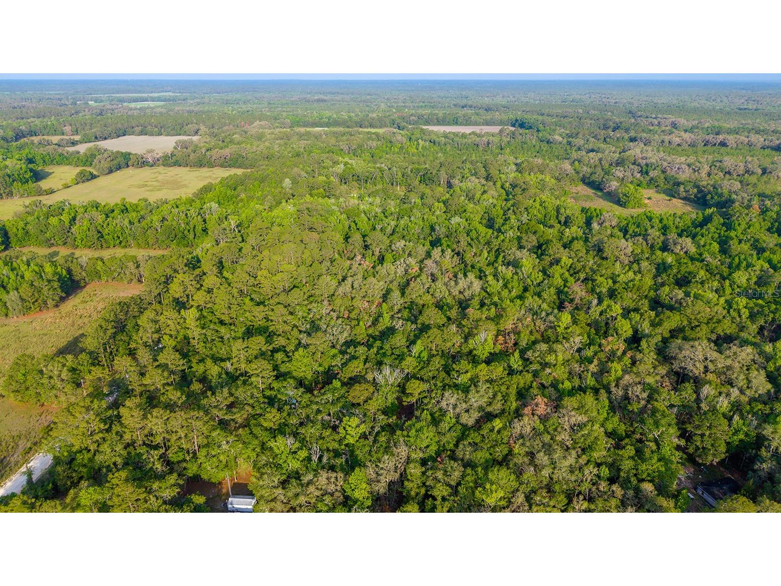 1708 NW 230th Place Brooker FL 32622 GC540609 image29