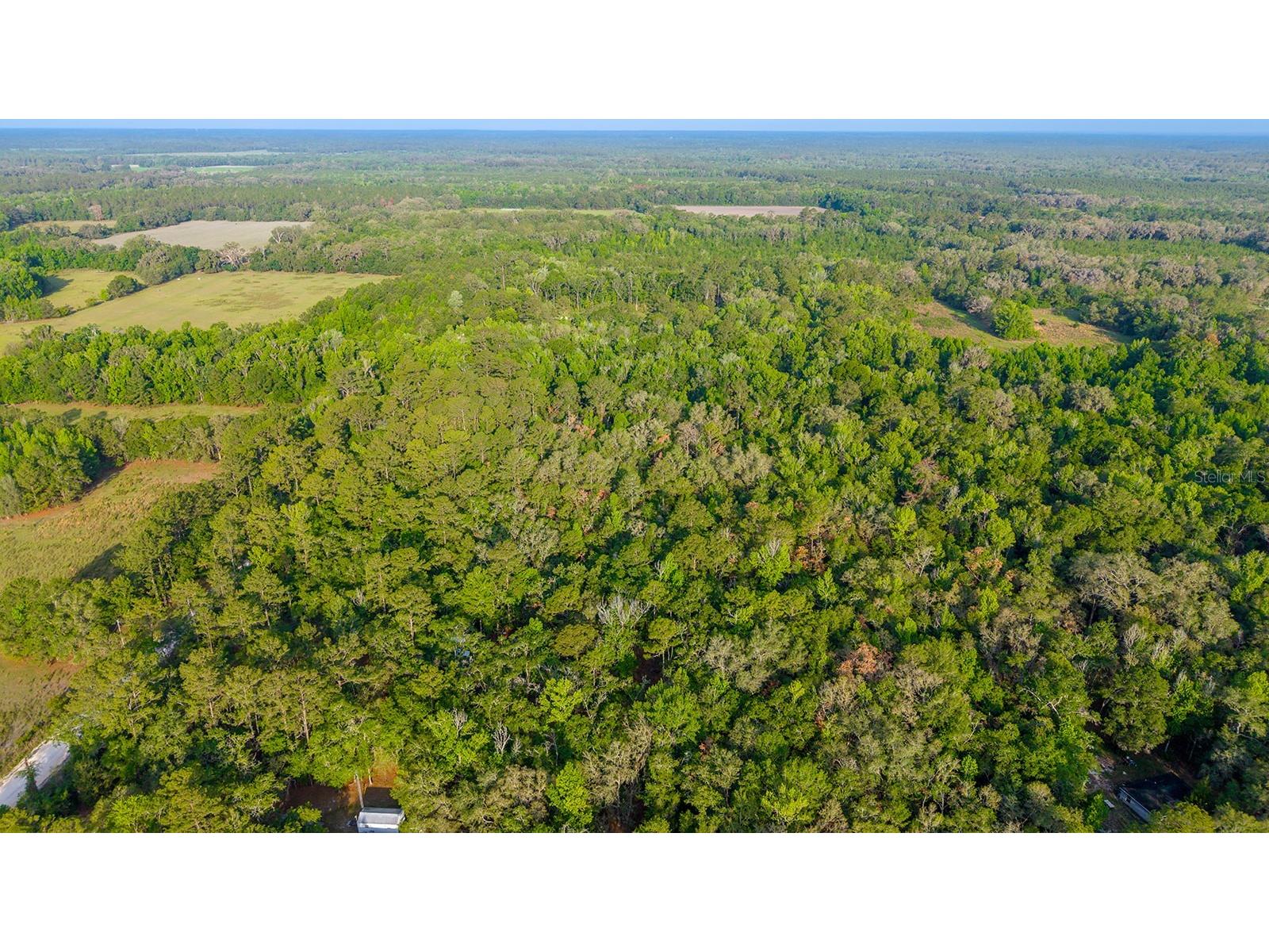 1708 NW 230th Place Brooker FL 32622 GC540609 image31