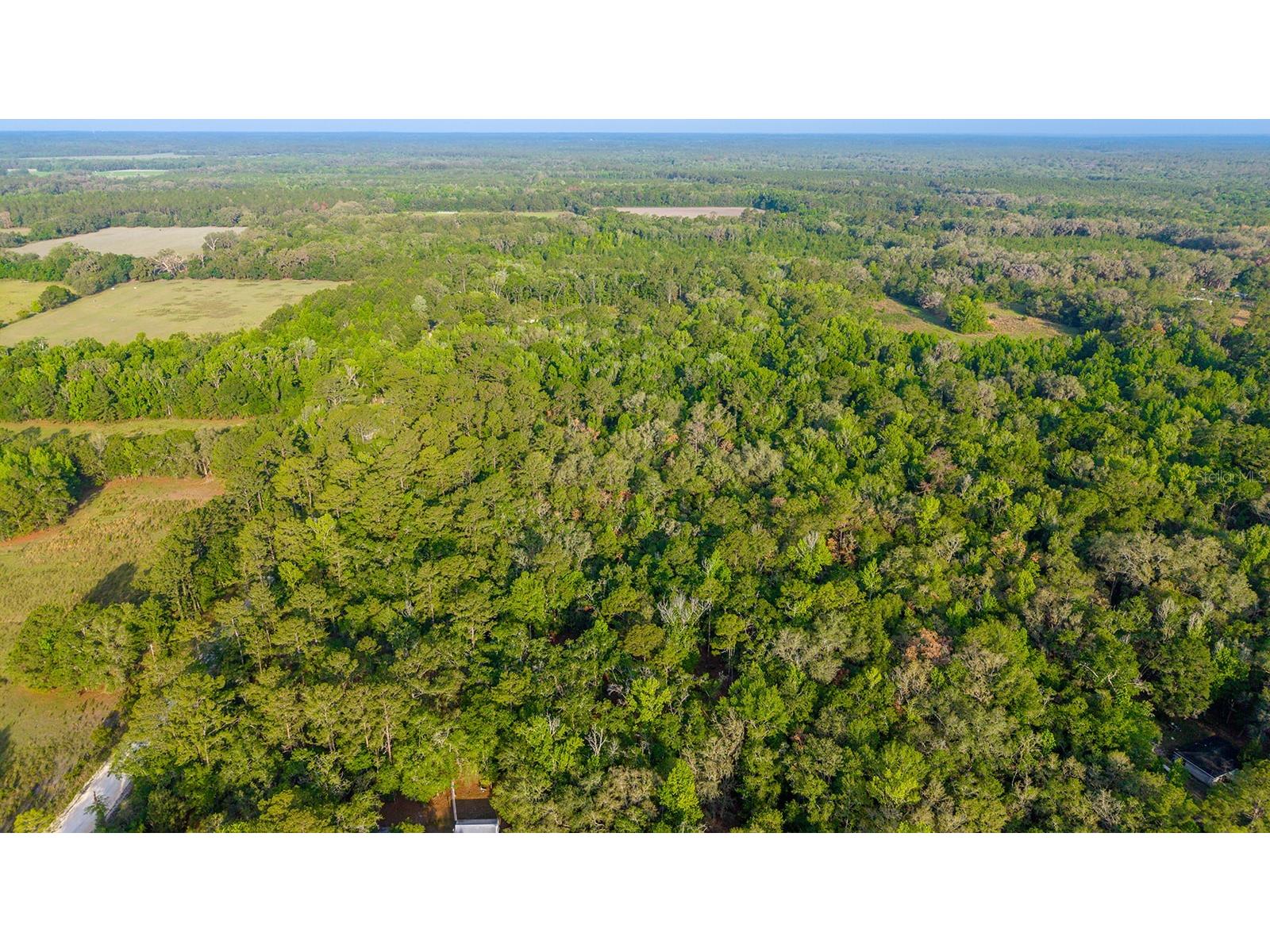 1708 NW 230th Place Brooker FL 32622 GC540609 image32