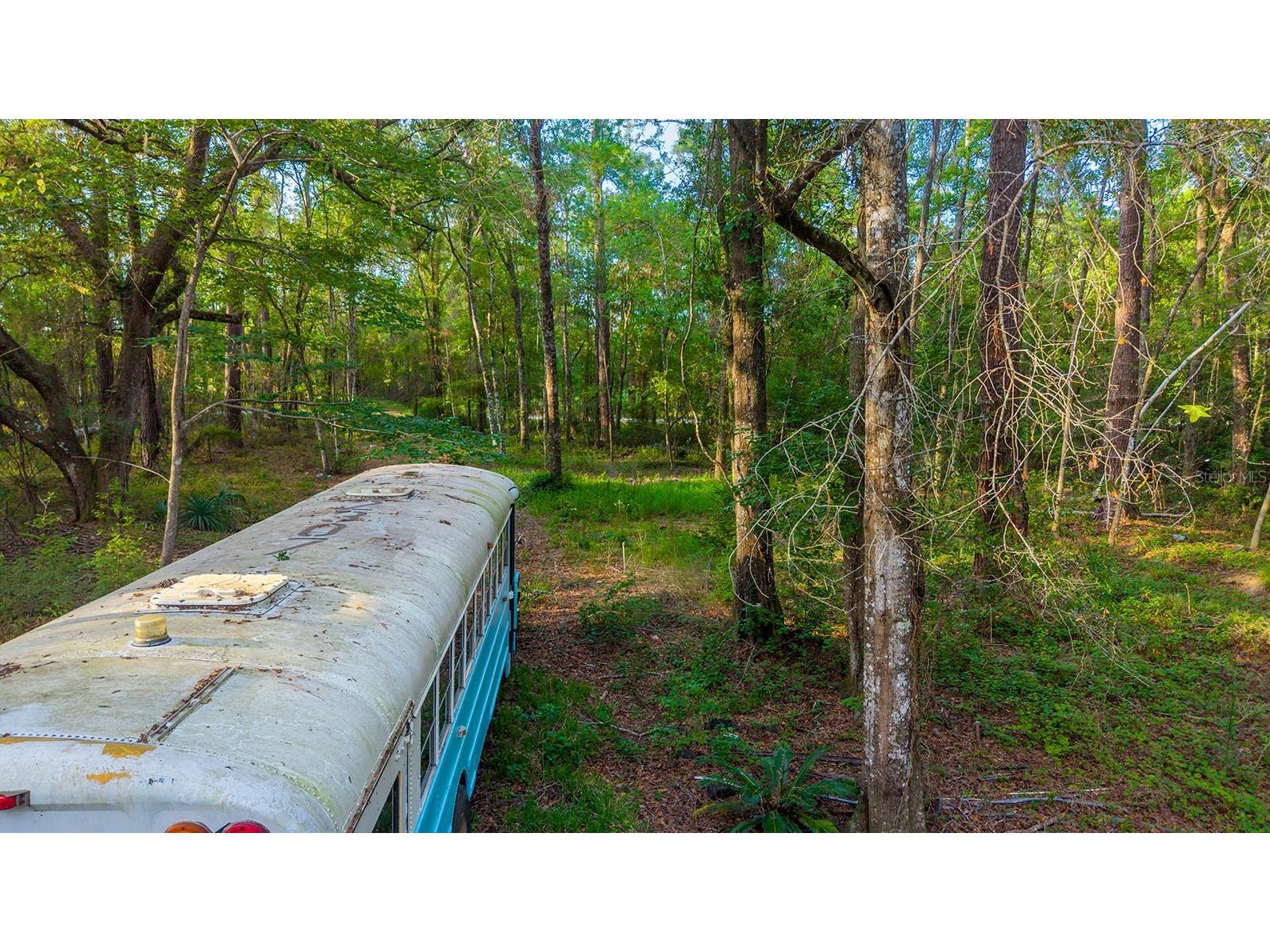 1708 NW 230th Place Brooker FL 32622 GC540609 image5