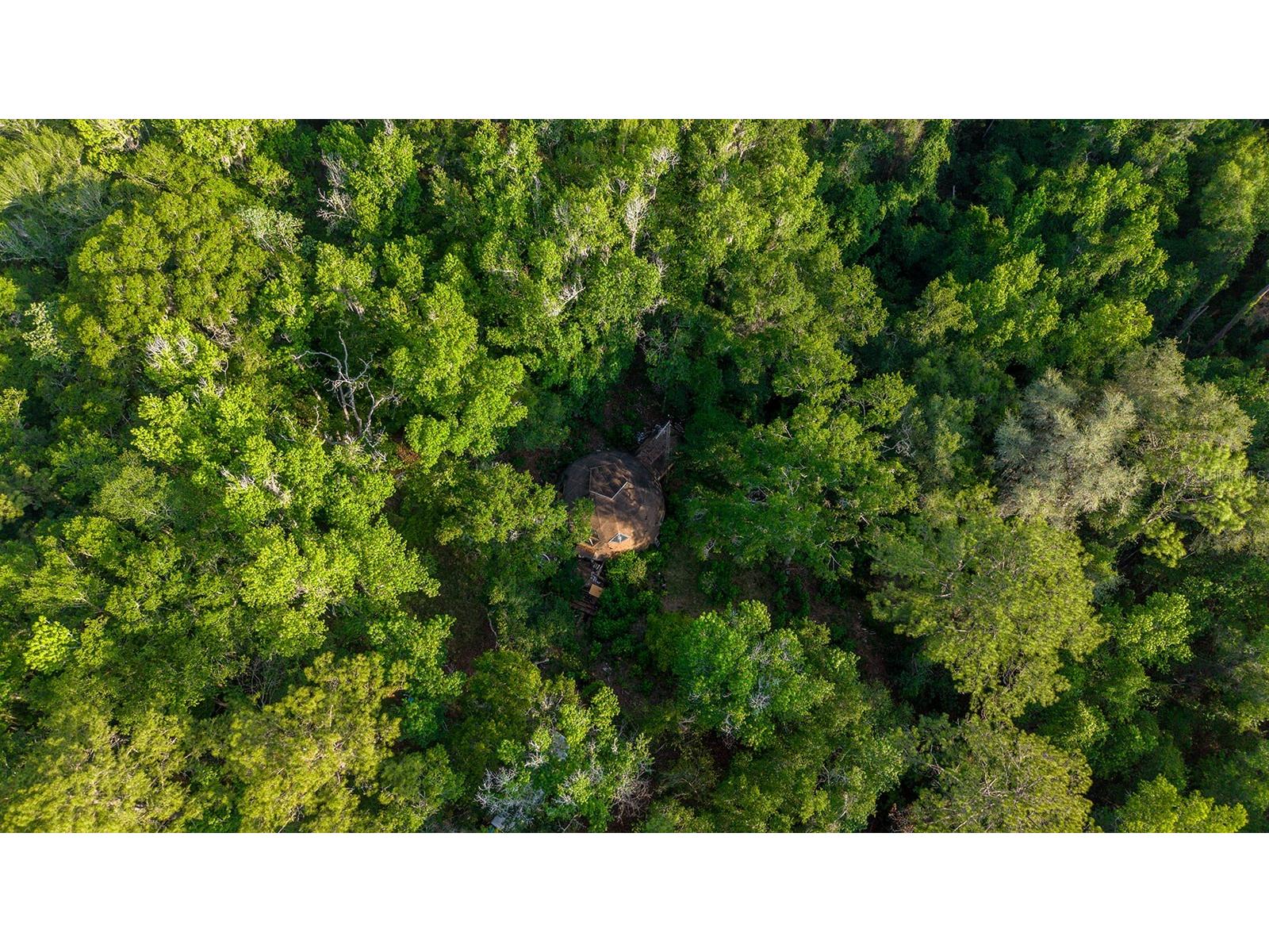 1708 NW 230th Place Brooker FL 32622 GC540609 image6