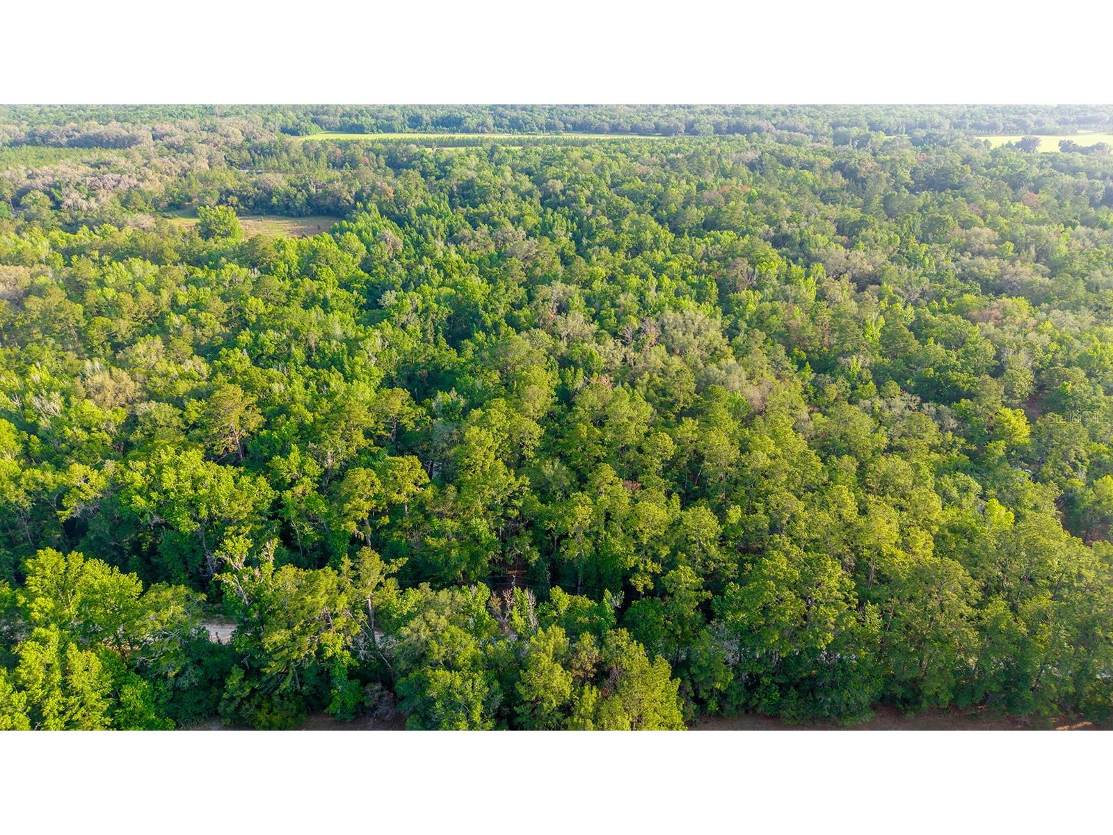 1708 NW 230th Place Brooker FL 32622 GC540609 image8