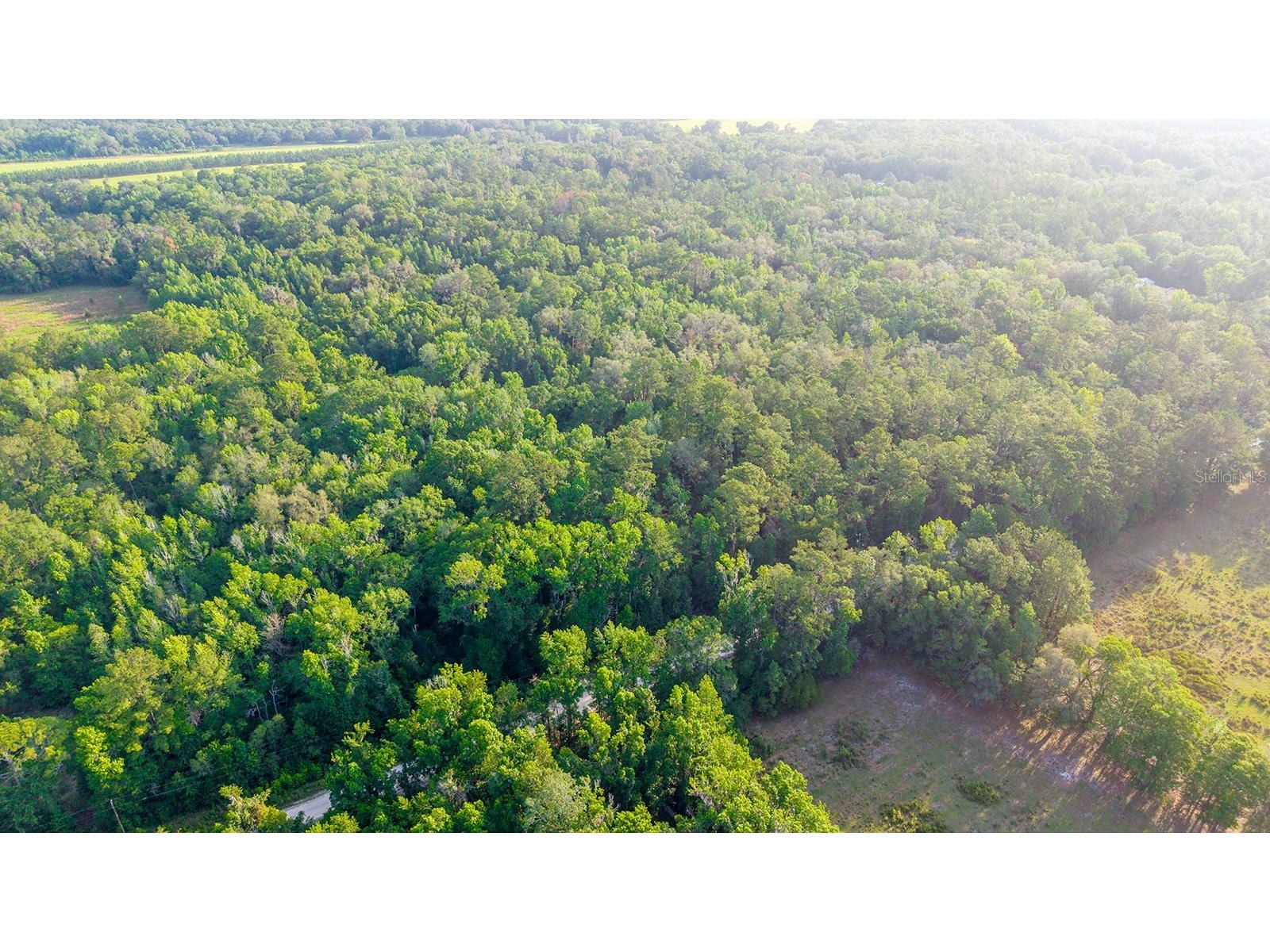 1708 NW 230th Place Brooker FL 32622 GC540609 image9