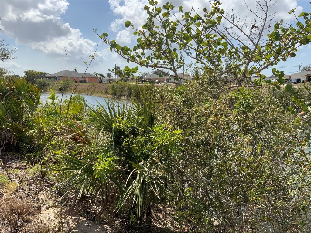 1708 NW 6th Place Cape Coral FL 33993 A4563626 image7