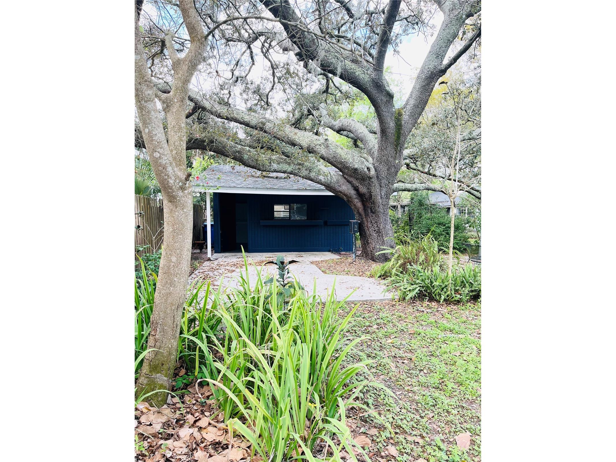 1708 Pond Lake Drive Tampa FL 33612 TB8477089 image41