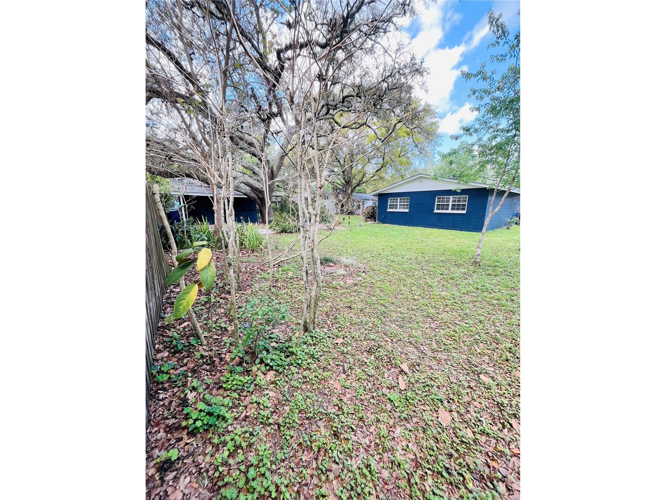 1708 Pond Lake Drive Tampa FL 33612 TB8477089 image44