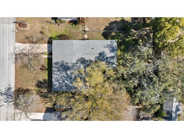 1708 Pond Lake Drive Tampa FL 33612 TB8477089 image46