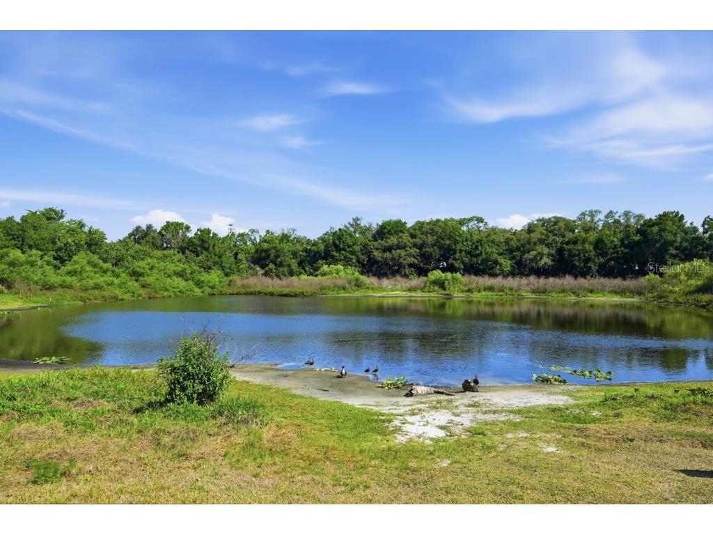 1708 Pond Lake Drive Tampa FL 33612 TB8477089 image64