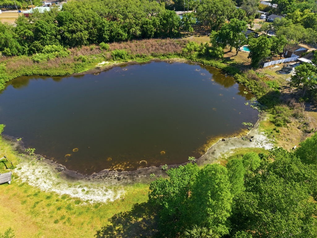 1708 Pond Lake Drive Tampa FL 33612 TB8477089 image65