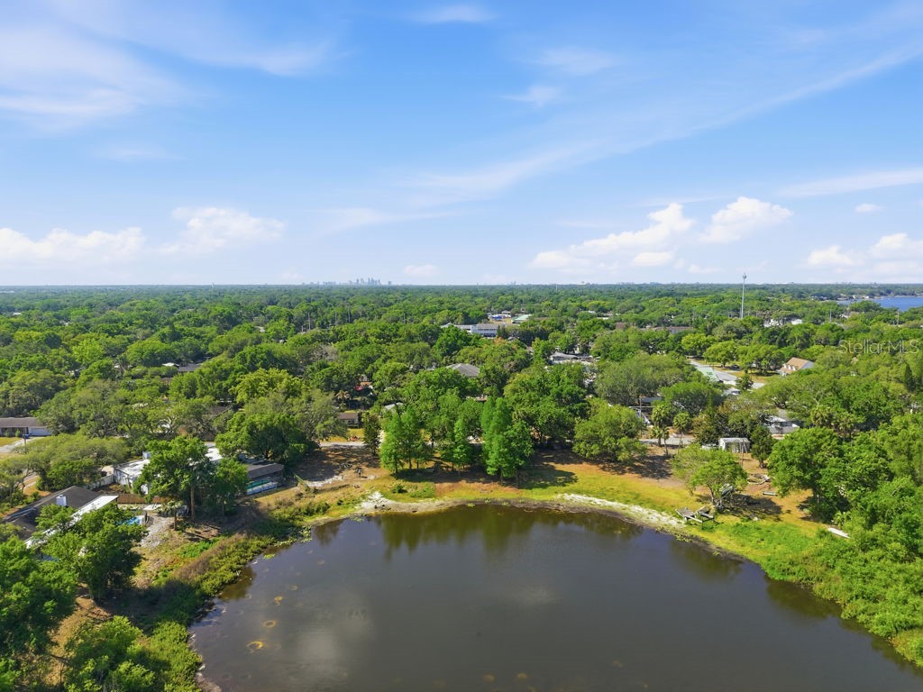 1708 Pond Lake Drive Tampa FL 33612 TB8477089 image66