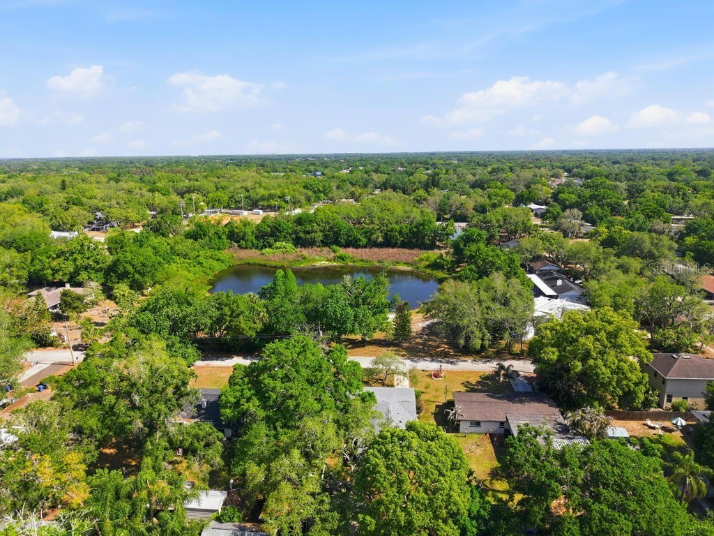 1708 Pond Lake Drive Tampa FL 33612 TB8477089 image67