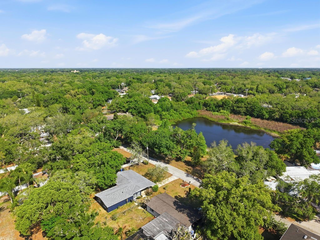 1708 Pond Lake Drive Tampa FL 33612 TB8477089 image69