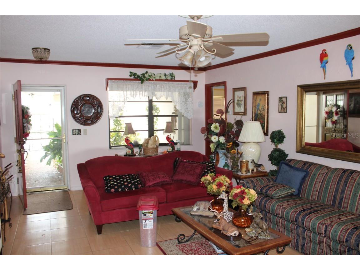 1708 Richard Ervin Parkway Tarpon Springs FL 34688 - LAKE TARPON TB8454735 image38