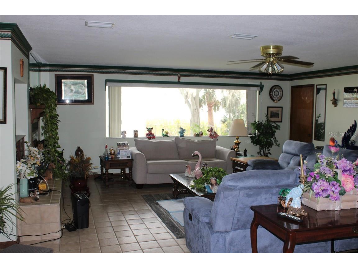 1708 Richard Ervin Parkway Tarpon Springs FL 34688 - LAKE TARPON TB8454735 image43