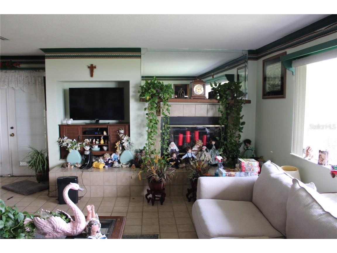 1708 Richard Ervin Parkway Tarpon Springs FL 34688 - LAKE TARPON TB8454735 image45