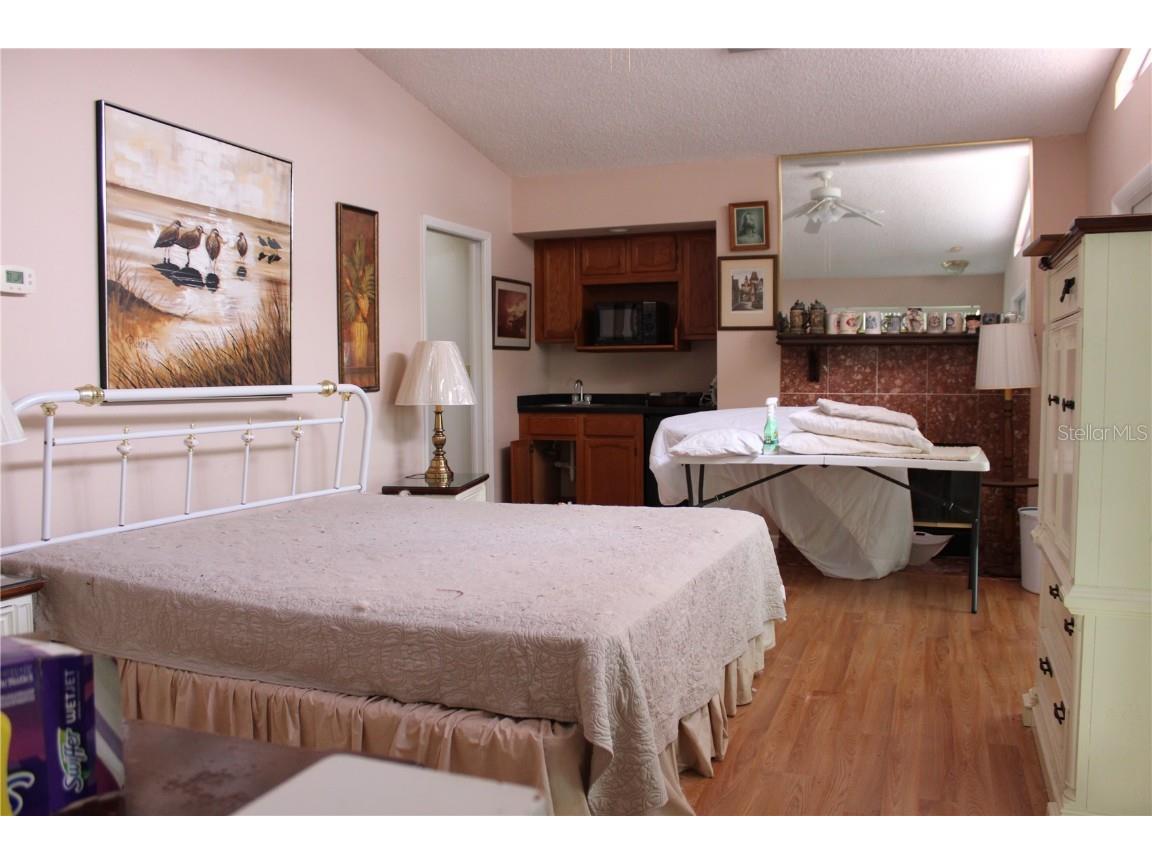 1708 Richard Ervin Parkway Tarpon Springs FL 34688 - LAKE TARPON TB8454735 image46