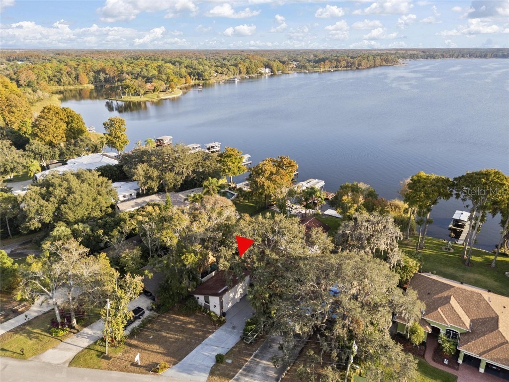 1708 Richard Ervin Parkway Tarpon Springs FL 34688 - LAKE TARPON TB8454735 image7